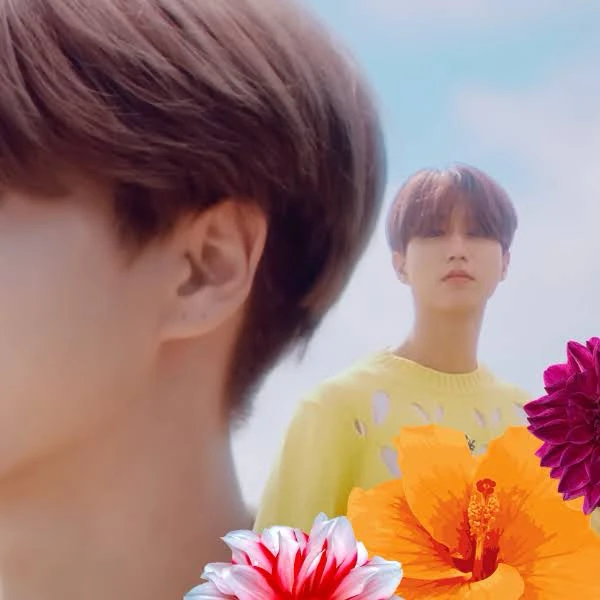 팬들이 뽑은 한 (Stray Kids) 최고의 순간