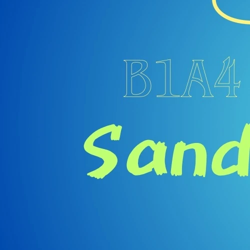 サンドゥル (B1A4)への愛が詰まった人気写真