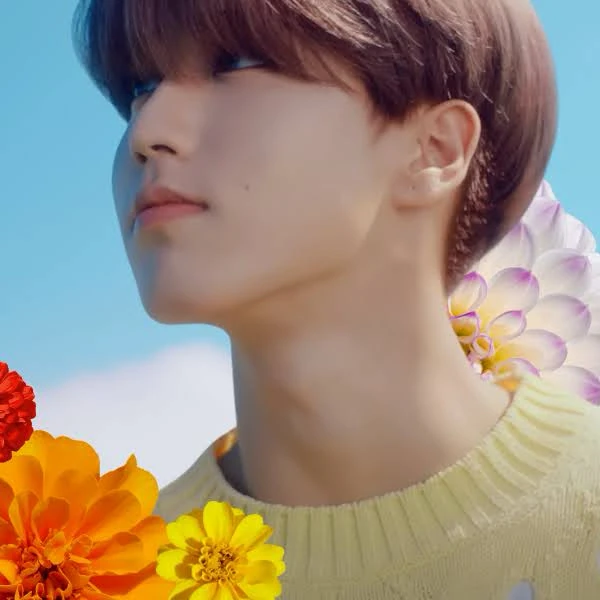 오늘 가장 사랑받은 한 (Stray Kids)의 모습