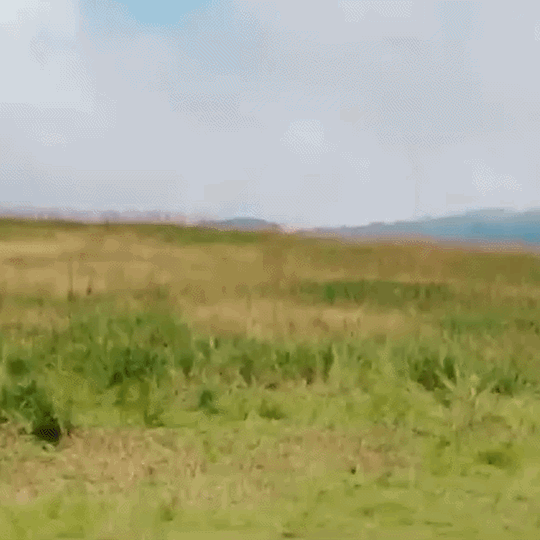 Top Photo Full of Stray Kids Love