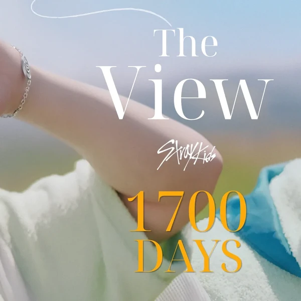 チャンビン (Stray Kids)への愛が詰まった人気写真