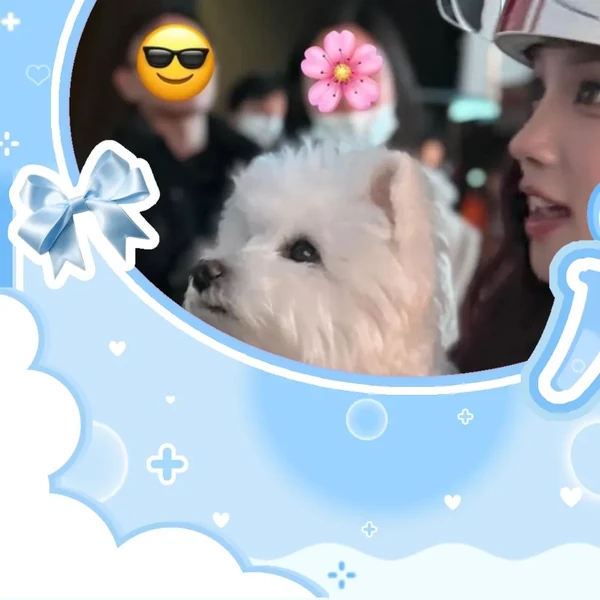 Fans' Pick: Best Moment of Yuqi (i-dle)