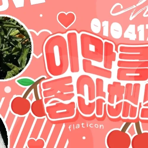 今日最も愛されたリュジン (ITZY)の姿