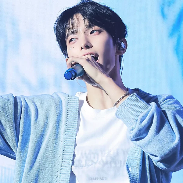 粉丝票选的DK (SEVENTEEN)最佳瞬间