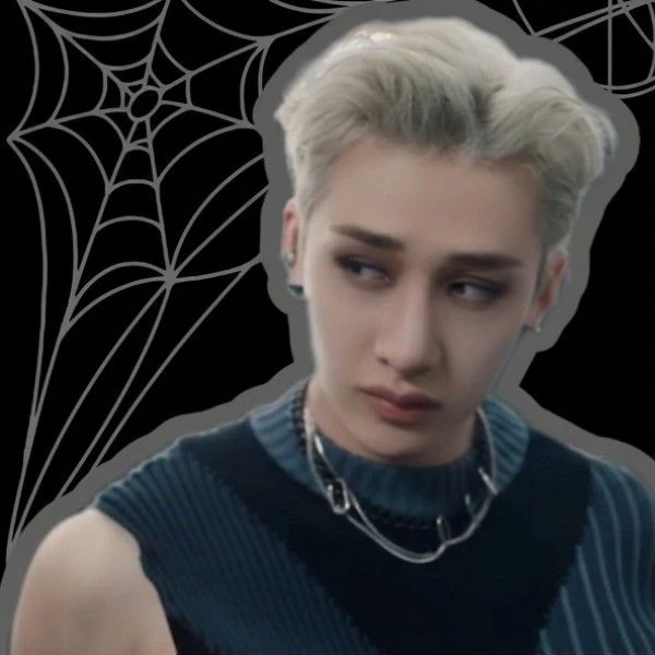 粉丝票选的方灿 (Stray Kids)最佳瞬间