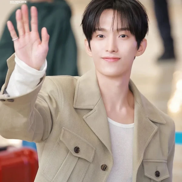 粉丝票选的DK (SEVENTEEN)最佳瞬间