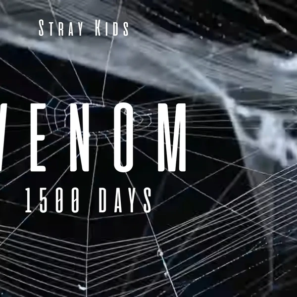 今日最も愛されたチャンビン (Stray Kids)の姿