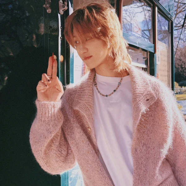 디에잇 (세븐틴) 팬심 가득한 인기 사진