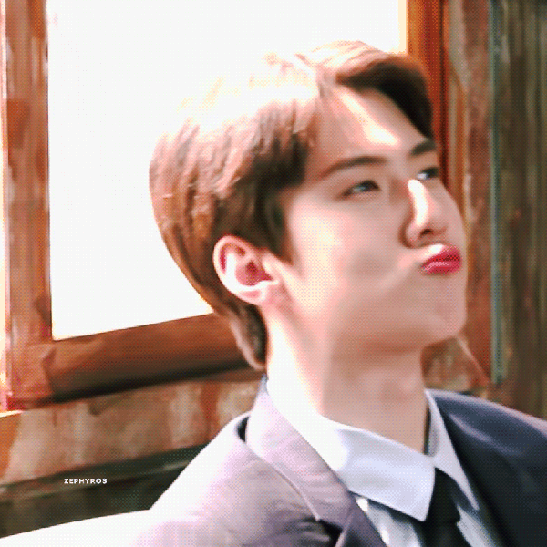 세훈 (EXO) 팬심 가득한 인기 사진