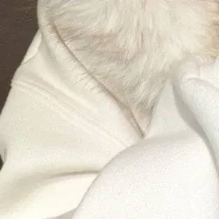 rankingBanner