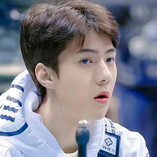 팬들이 뽑은 세훈 (EXO) 최고의 순간