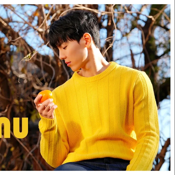粉絲票選的Shownu (MONSTA X)最佳瞬間