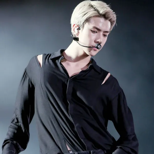 팬들이 뽑은 세훈 (EXO) 최고의 순간