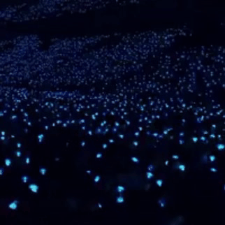 Fans' Pick: Best Moment of TREASURE