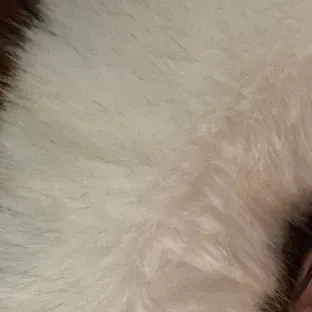 rankingBanner