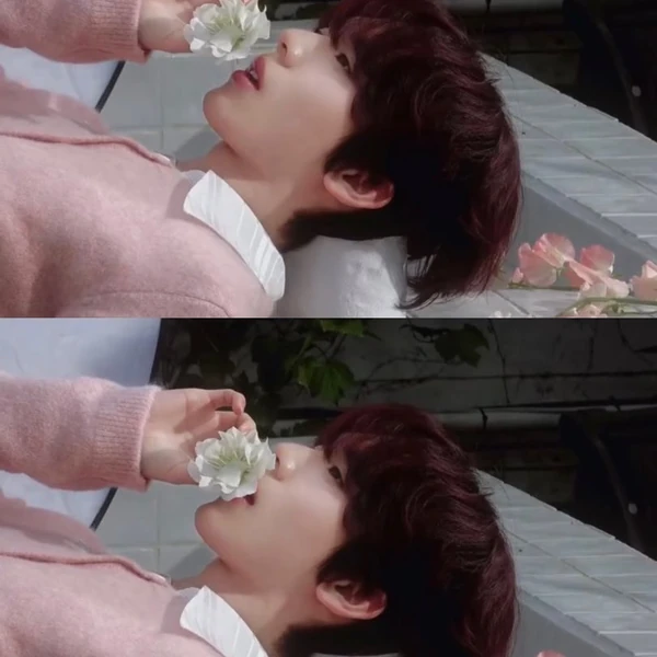 Top Photo Full of Han Yujin Love