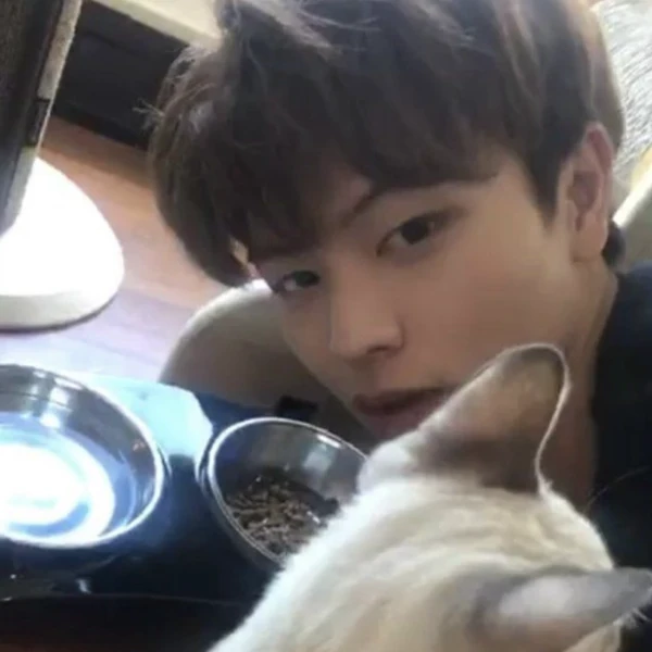 Popular profile image of Yook Sungjae (BTOB) selected by votes
