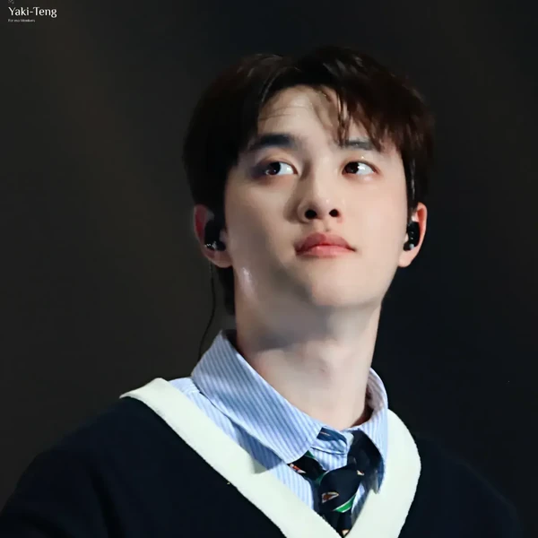 充滿粉絲愛意的D.O. (EXO)人氣照片