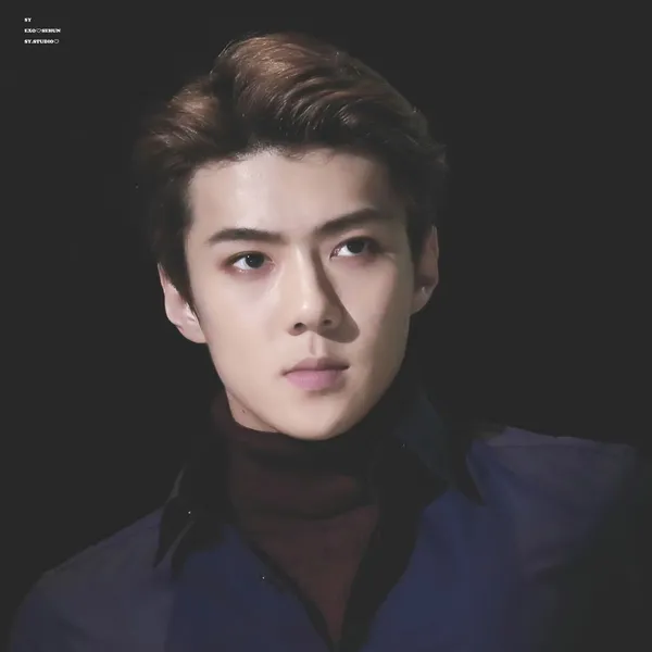 세훈 (EXO) 팬심 가득한 인기 사진