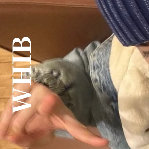 rankingBanner