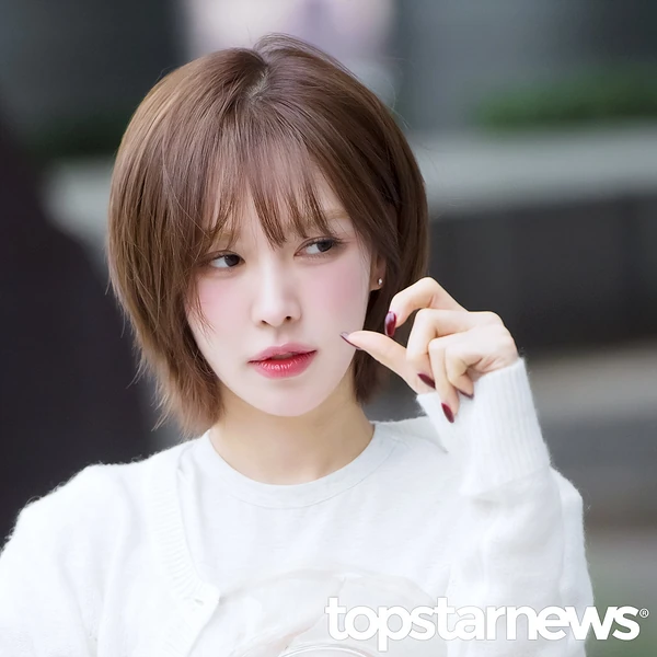 充满粉丝爱意的Wendy (Red Velvet)人气照片