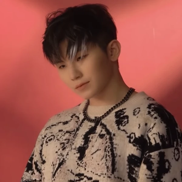 今日最も愛されたウジ (SEVENTEEN)の姿