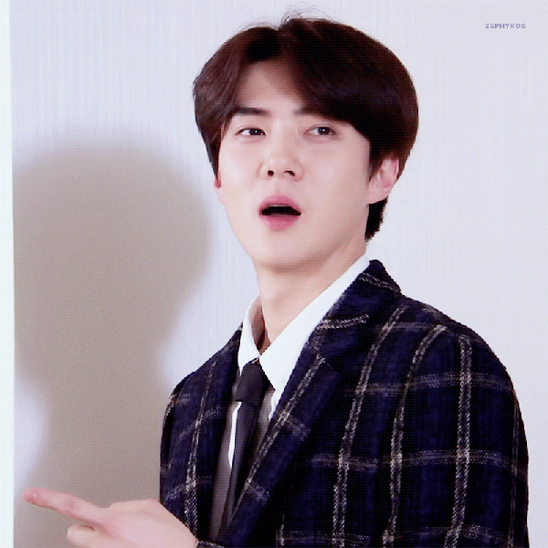팬들이 뽑은 세훈 (EXO) 최고의 순간