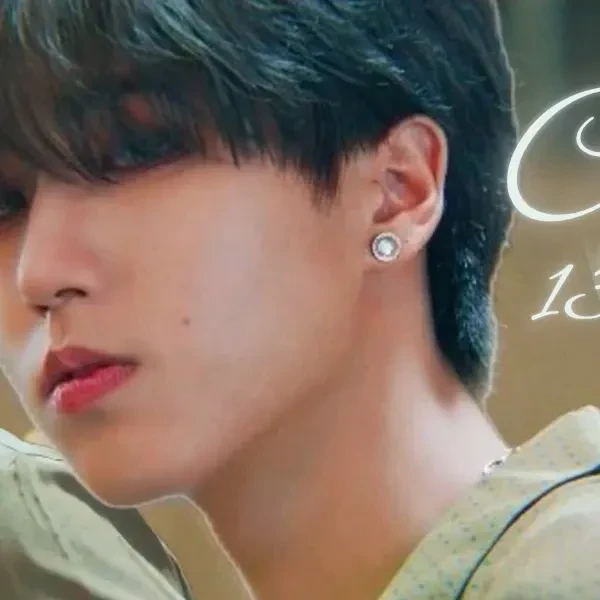 充滿粉絲愛意的HAN (Stray Kids)人氣照片