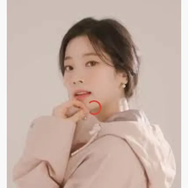 팬들이 뽑은 다현 (TWICE) 최고의 순간