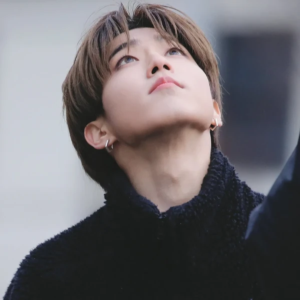 Top Photo Full of HAN (Stray Kids) Love