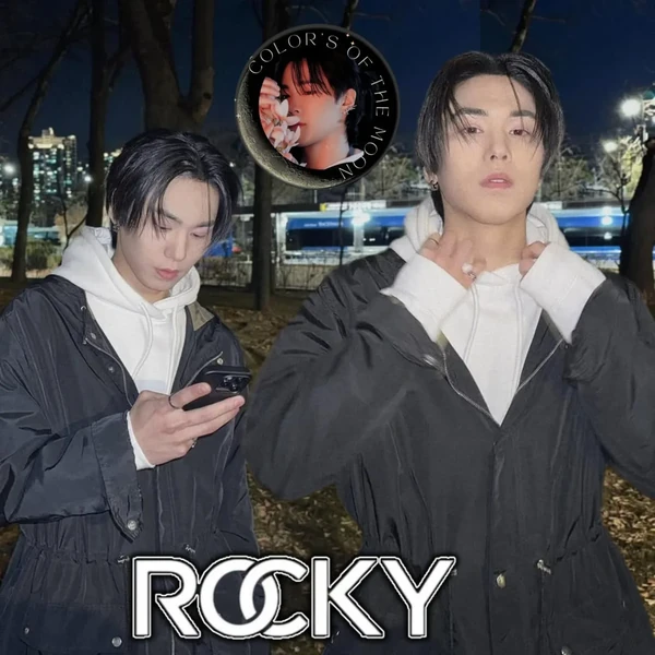Today's Most Loved Rocky