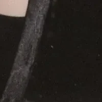 今天最受喜爱的金佳蓝