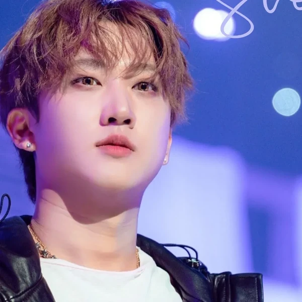 今日最も愛されたチャンビン (Stray Kids)の姿