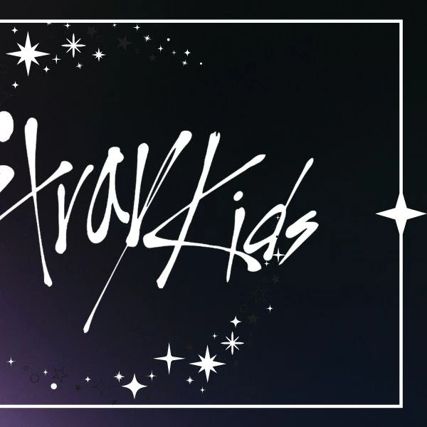 Stray Kids 팬심 가득한 인기 사진