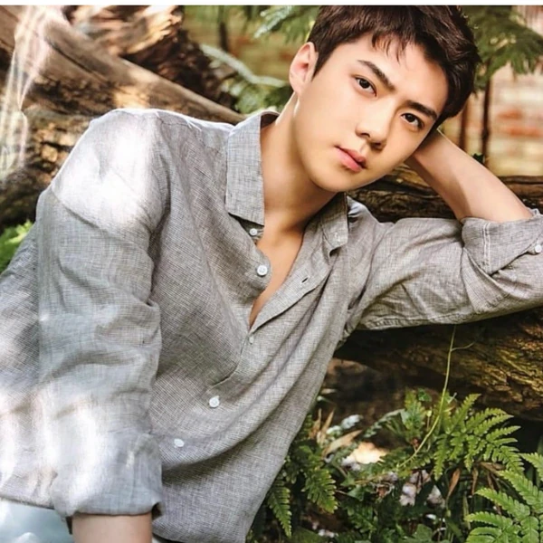 세훈 (EXO) 팬심 가득한 인기 사진