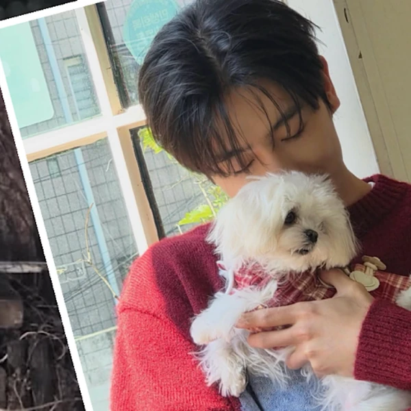 Fans' Pick: Best Moment of Hyunjae (THE BOYZ)