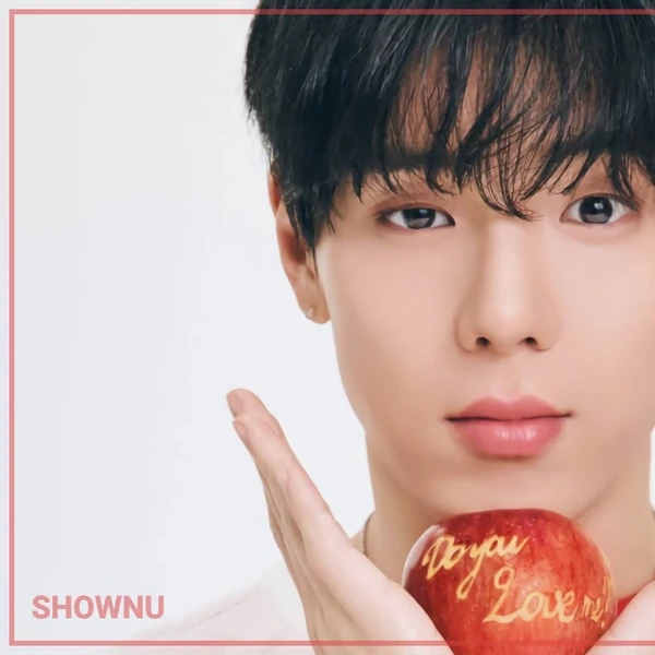 粉絲票選的Shownu (MONSTA X)最佳瞬間