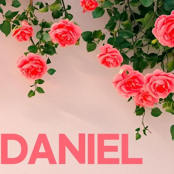 Brilliant moment of Kang Daniel created by fandom