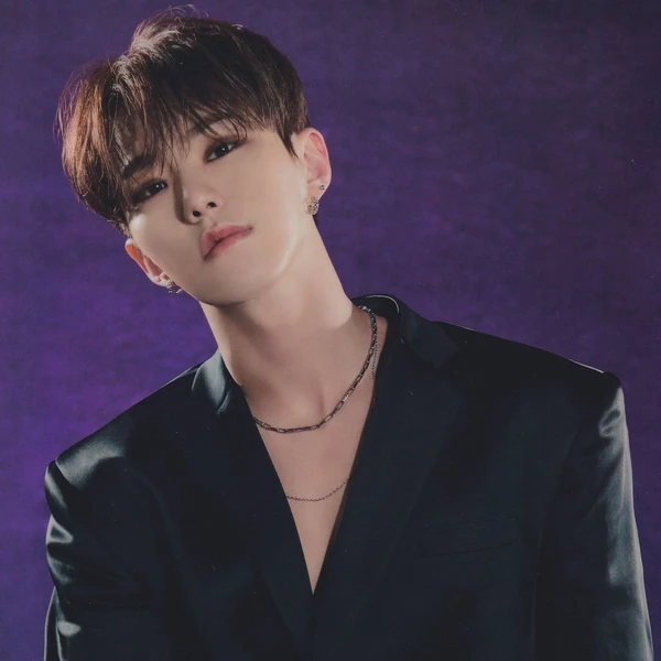 今天最受喜爱的Hoshi (SEVENTEEN)