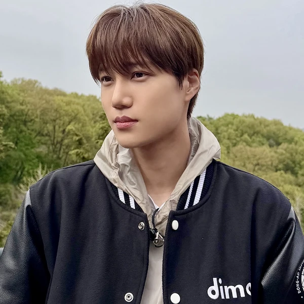 充滿粉絲愛意的Kai (EXO)人氣照片
