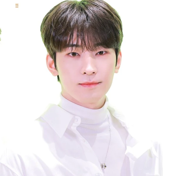 Fans' Pick: Best Moment of Wonwoo (SEVENTEEN)