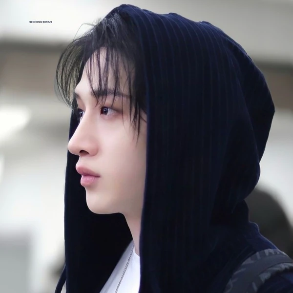Top Photo Full of Bang Chan (Stray Kids) Love