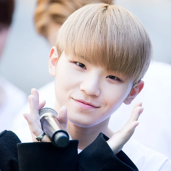 Top Photo Full of Woozi (SEVENTEEN) Love