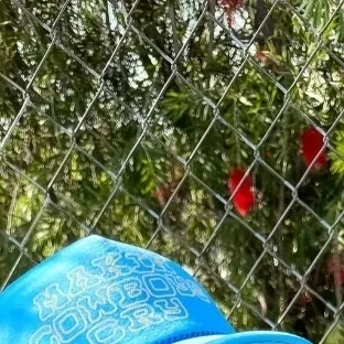 ファンが選んだドンファ (KickFlip)最高の瞬間