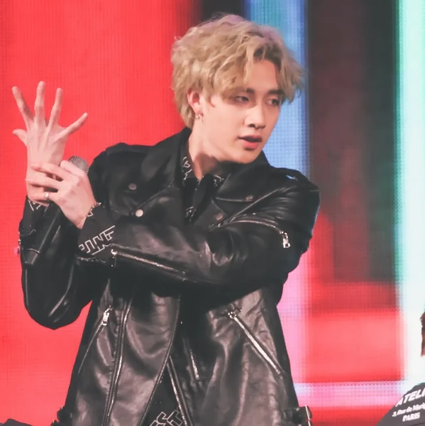 充满粉丝爱意的方灿 (Stray Kids)人气照片