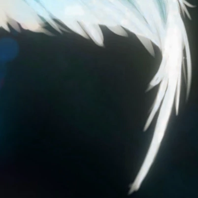 rankingBanner