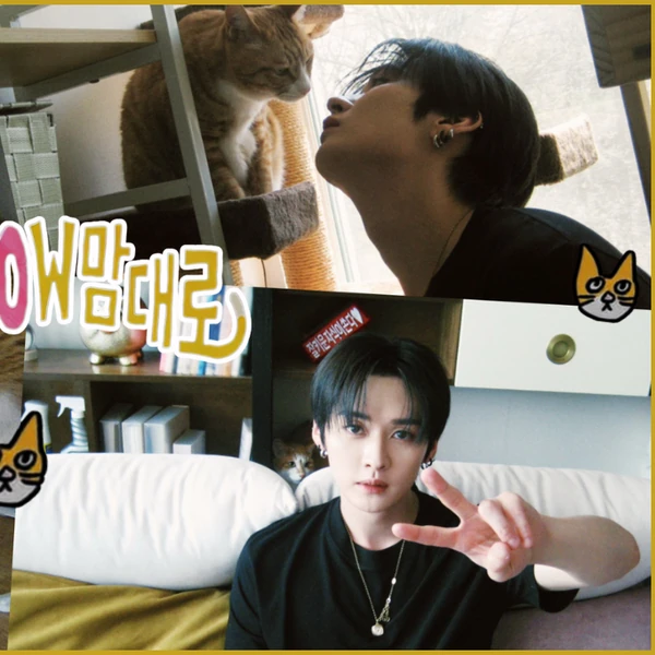 Fans' Pick: Best Moment of Lee Know (Stray Kids)