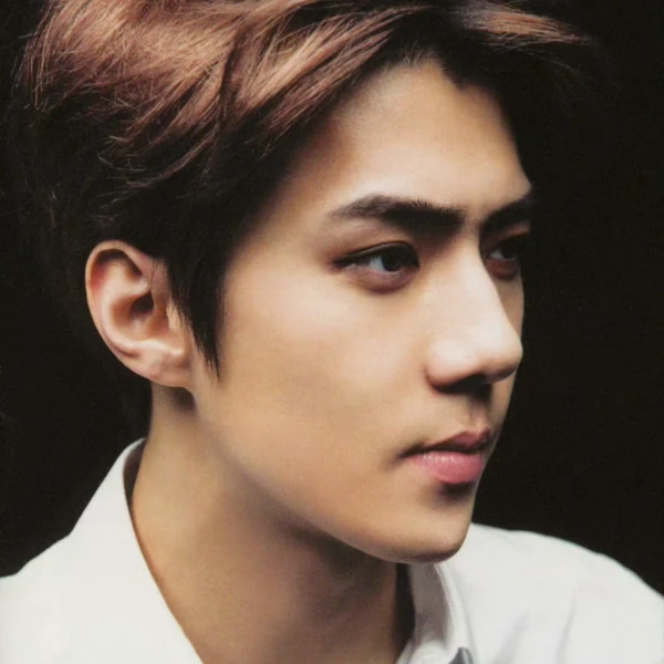 오늘 가장 사랑받은 세훈 (EXO)의 모습