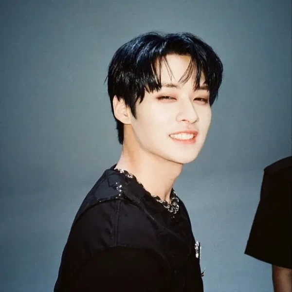 Popular profile picture of Lee Know (Stray Kids) loved by fans