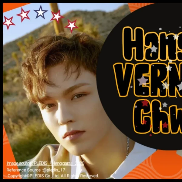 粉丝票选的Vernon (SEVENTEEN)最佳瞬间